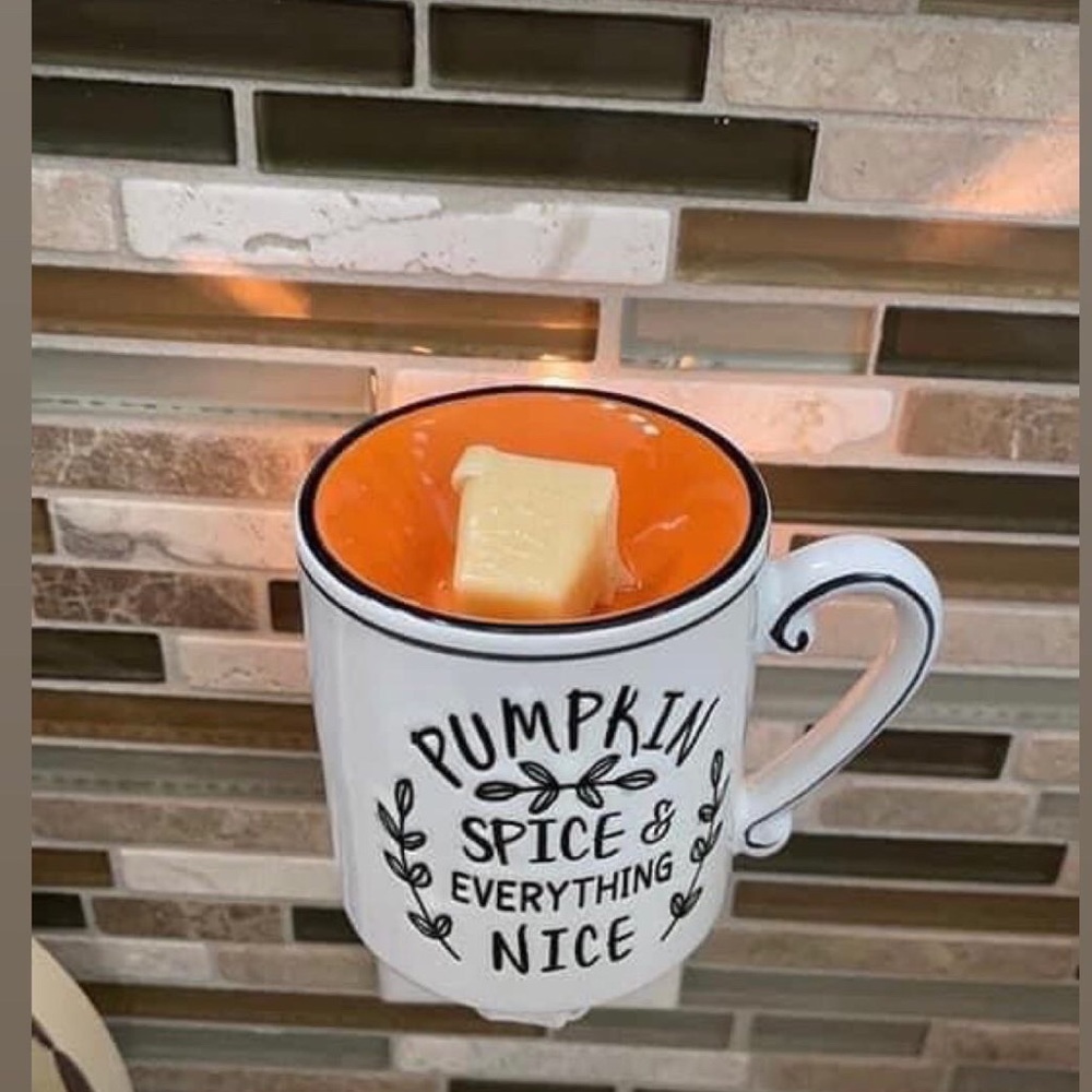 New in box mini warmer
